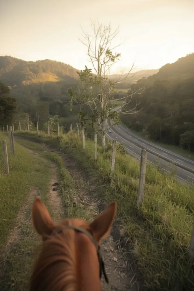 Fazenda, 306 hectares - Foto 4