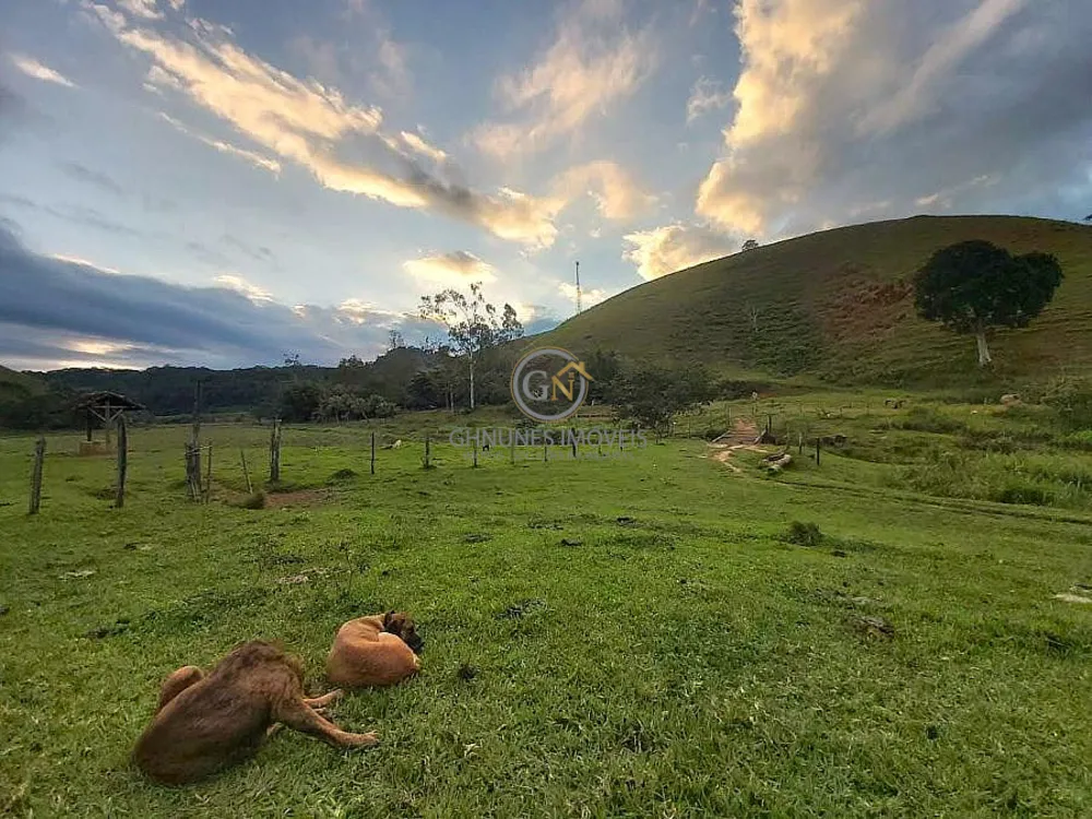 Fazenda, 306 hectares - Foto 25