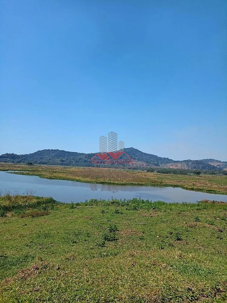 Fazenda, 306 hectares - Foto 6