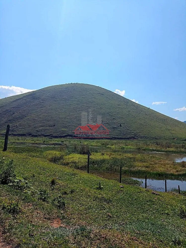Fazenda, 306 hectares - Foto 17