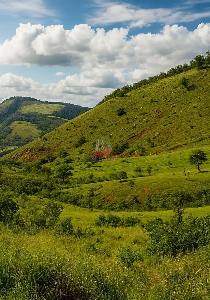 Fazenda, 306 hectares - Foto 4