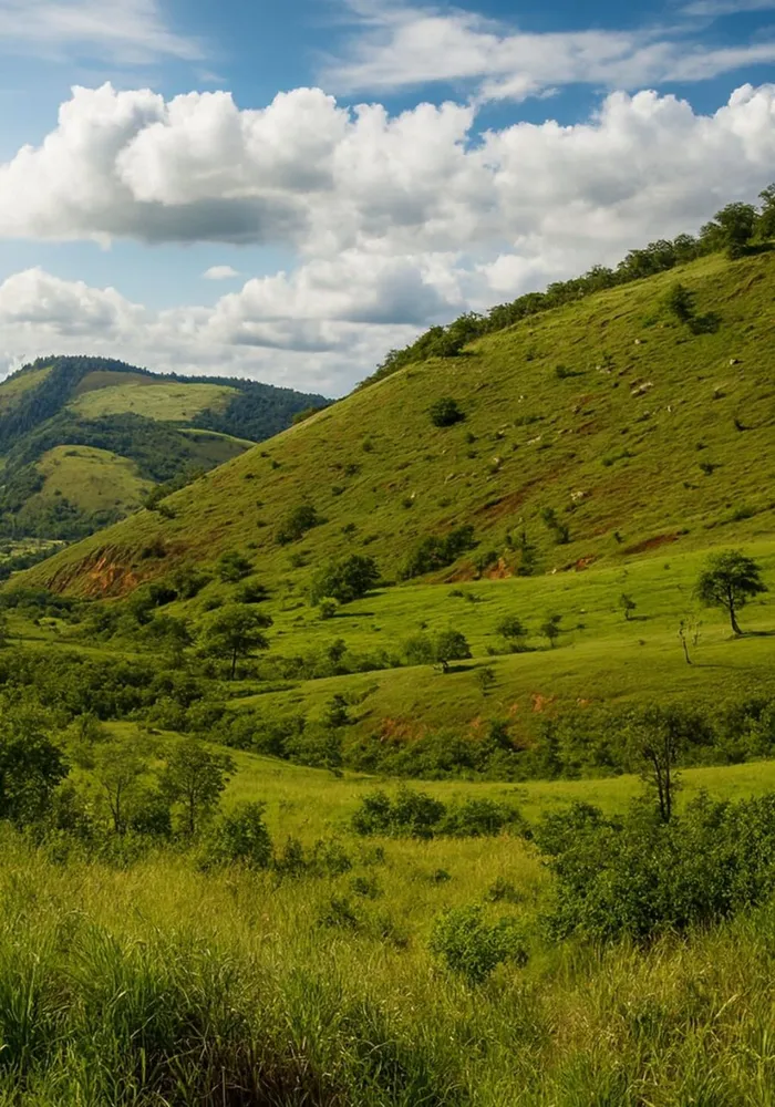 Fazenda, 306 hectares - Foto 10