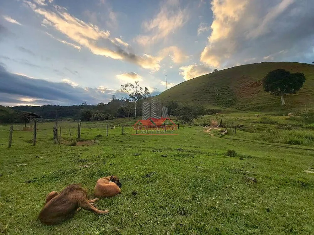 Fazenda, 306 hectares - Foto 11