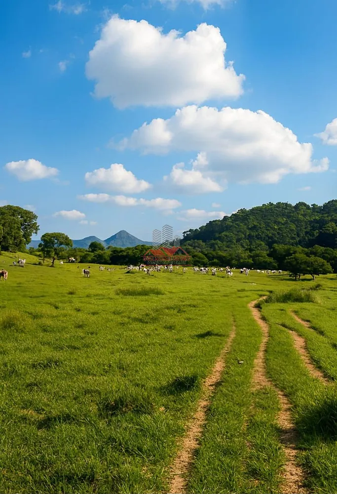 Fazenda, 306 hectares - Foto 8