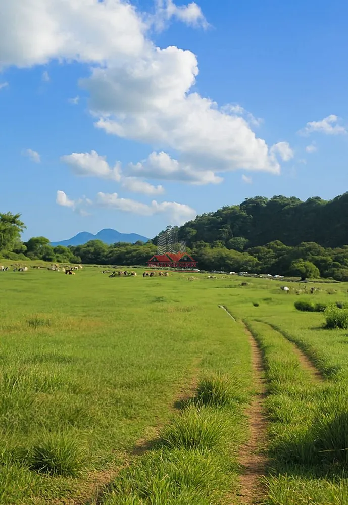 Fazenda, 306 hectares - Foto 1