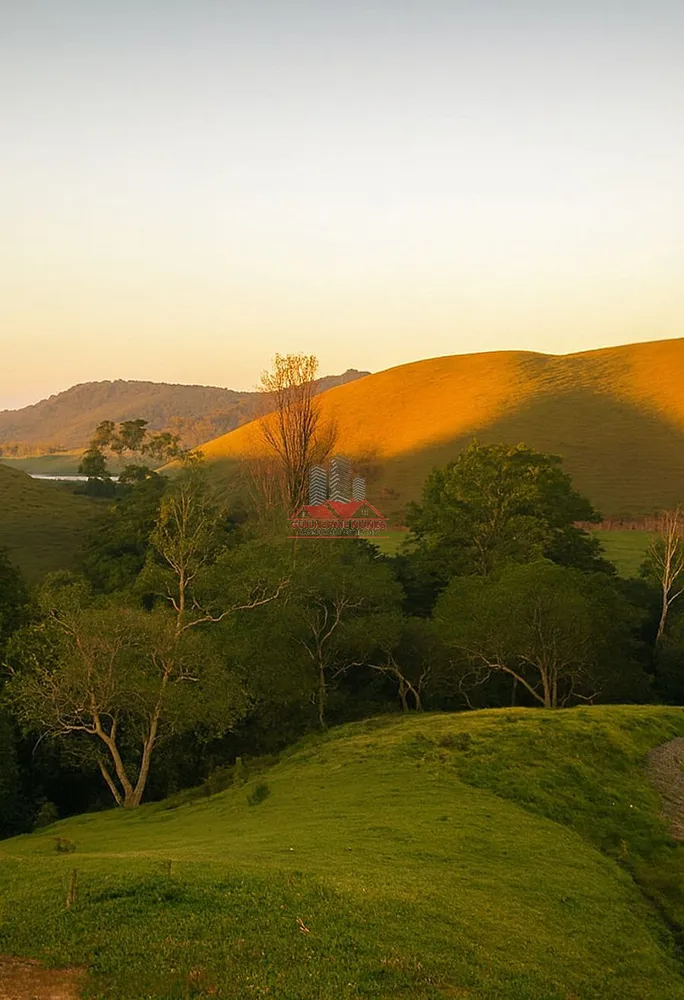 Fazenda, 306 hectares - Foto 3