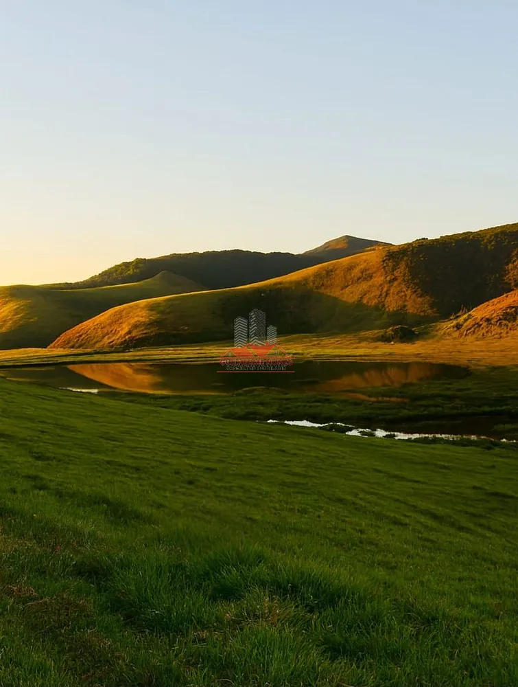 Fazenda, 306 hectares - Foto 13