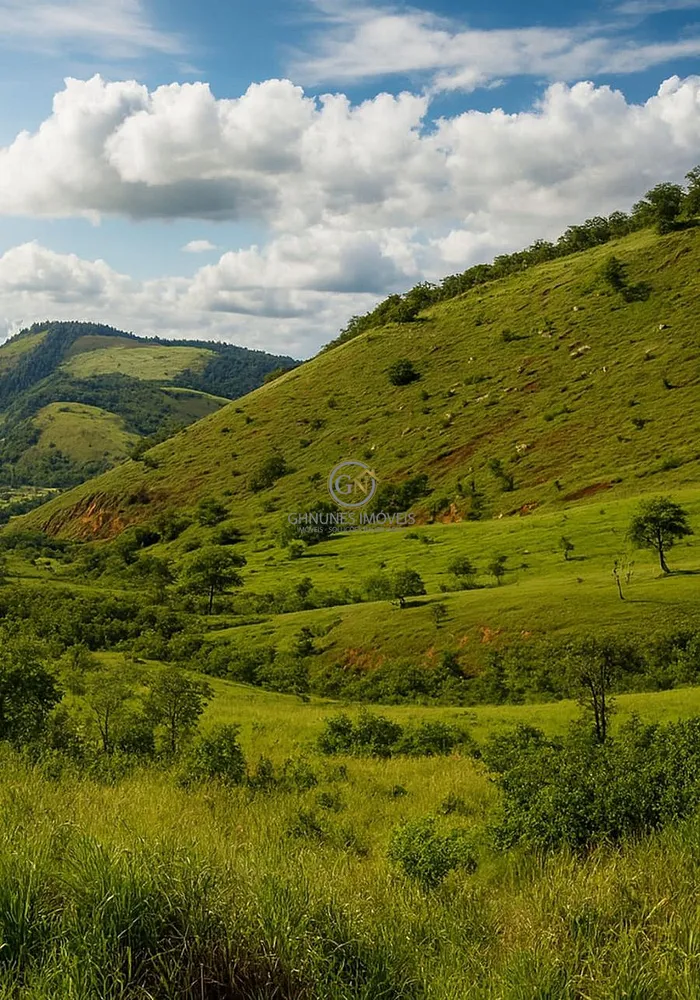 Fazenda, 306 hectares - Foto 11