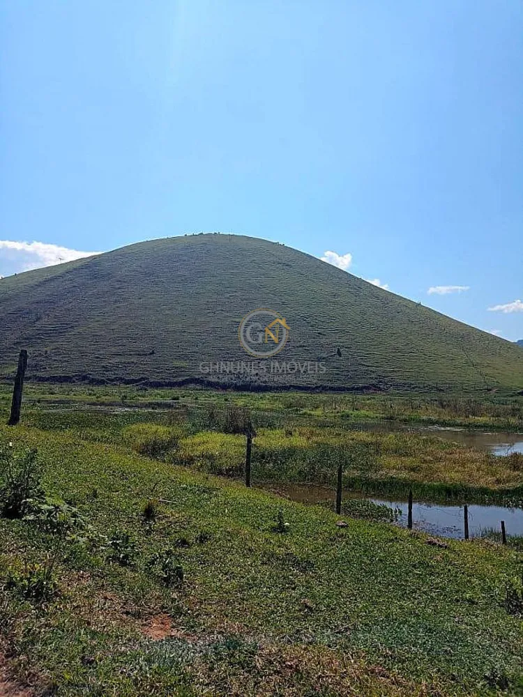 Fazenda, 306 hectares - Foto 37