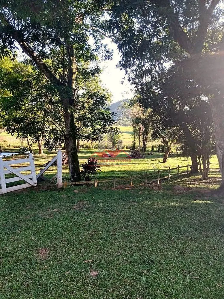 Fazenda, 306 hectares - Foto 10