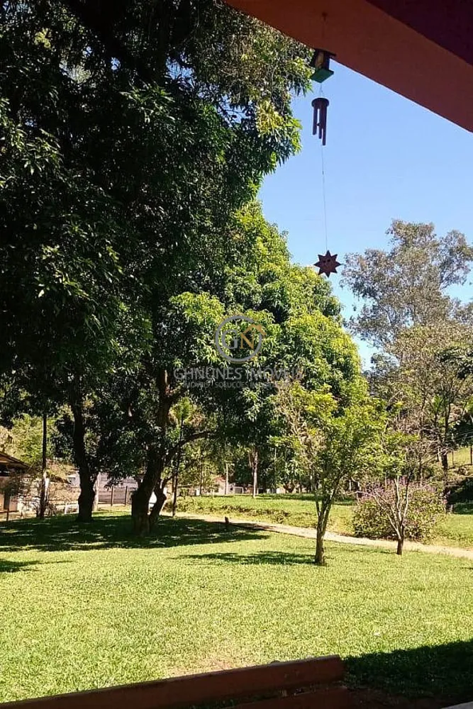 Fazenda, 306 hectares - Foto 39
