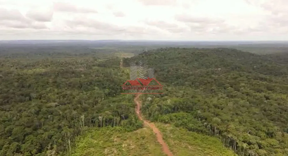 Fazenda, 2975 hectares - Foto 1
