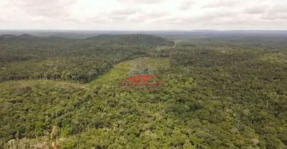 Fazenda, 2975 hectares - Foto 2
