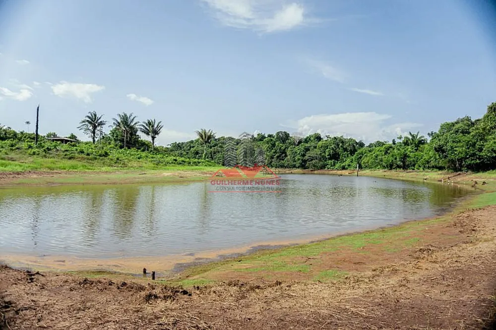 Fazenda, 142 hectares - Foto 11