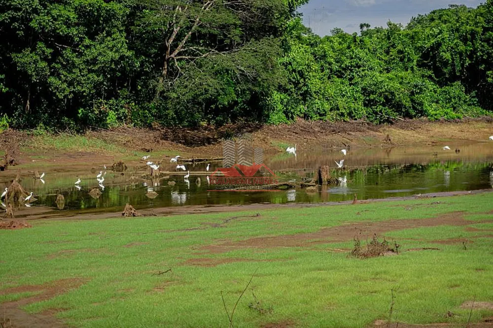 Fazenda, 142 hectares - Foto 2