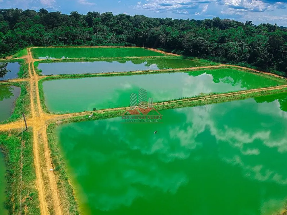 Fazenda, 142 hectares - Foto 7