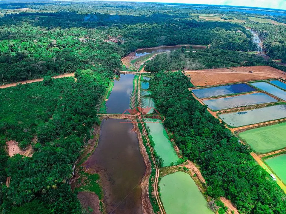 Fazenda, 142 hectares - Foto 3