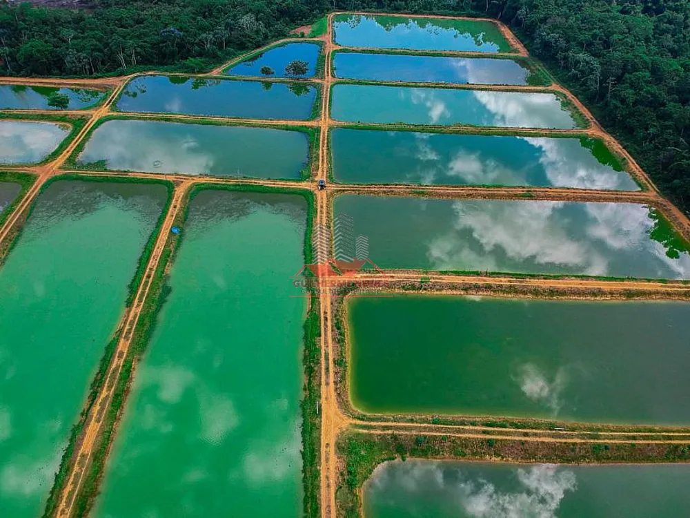 Fazenda, 142 hectares - Foto 1