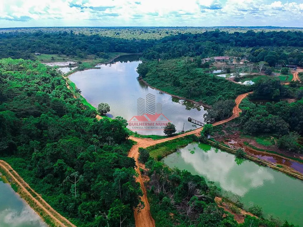 Fazenda, 142 hectares - Foto 10