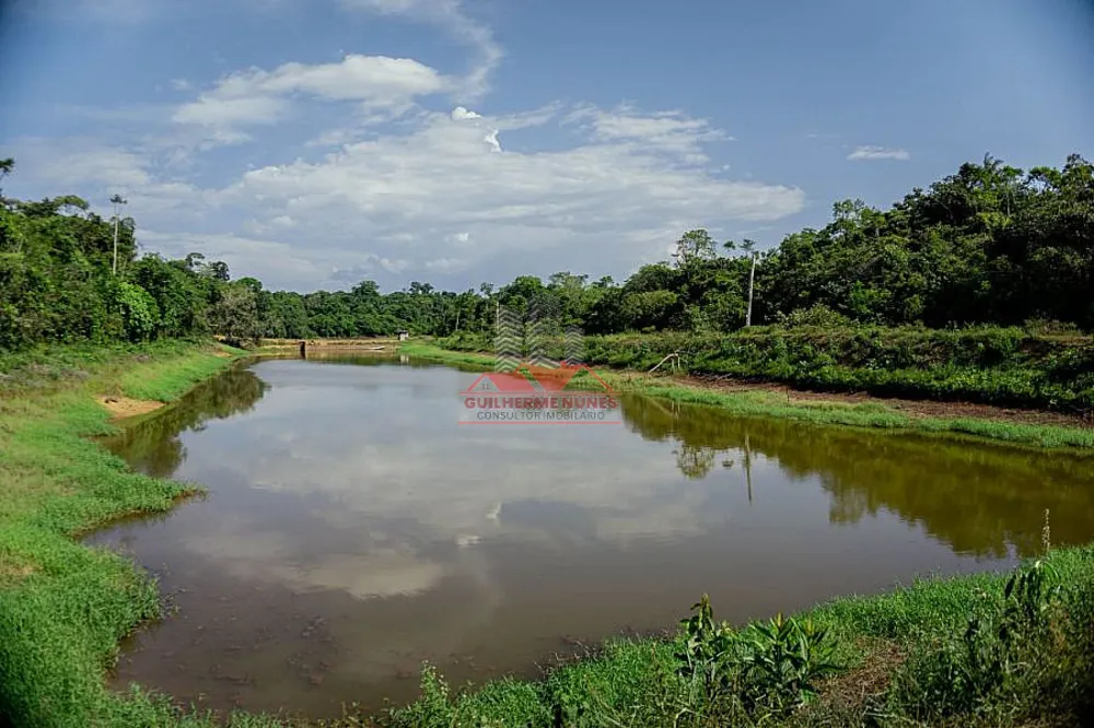Fazenda, 142 hectares - Foto 9