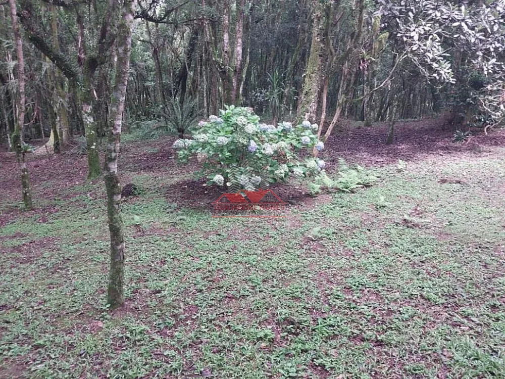 Chácara, 3 quartos, 4 hectares - Foto 8