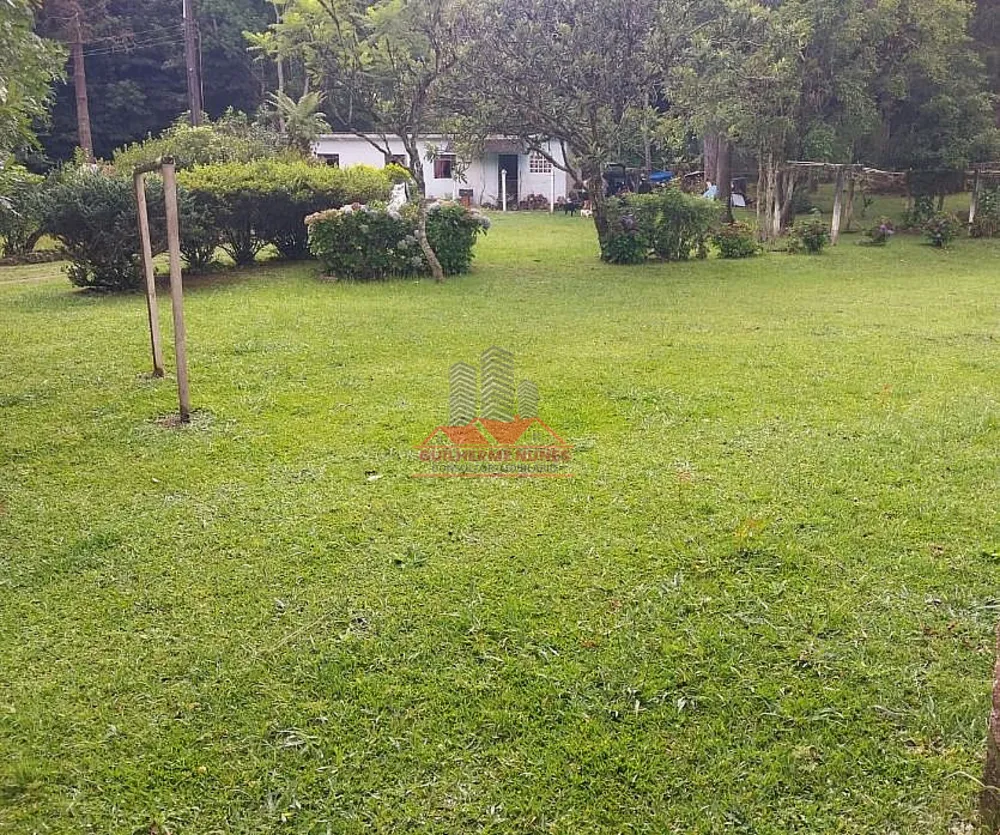 Chácara, 3 quartos, 4 hectares - Foto 6