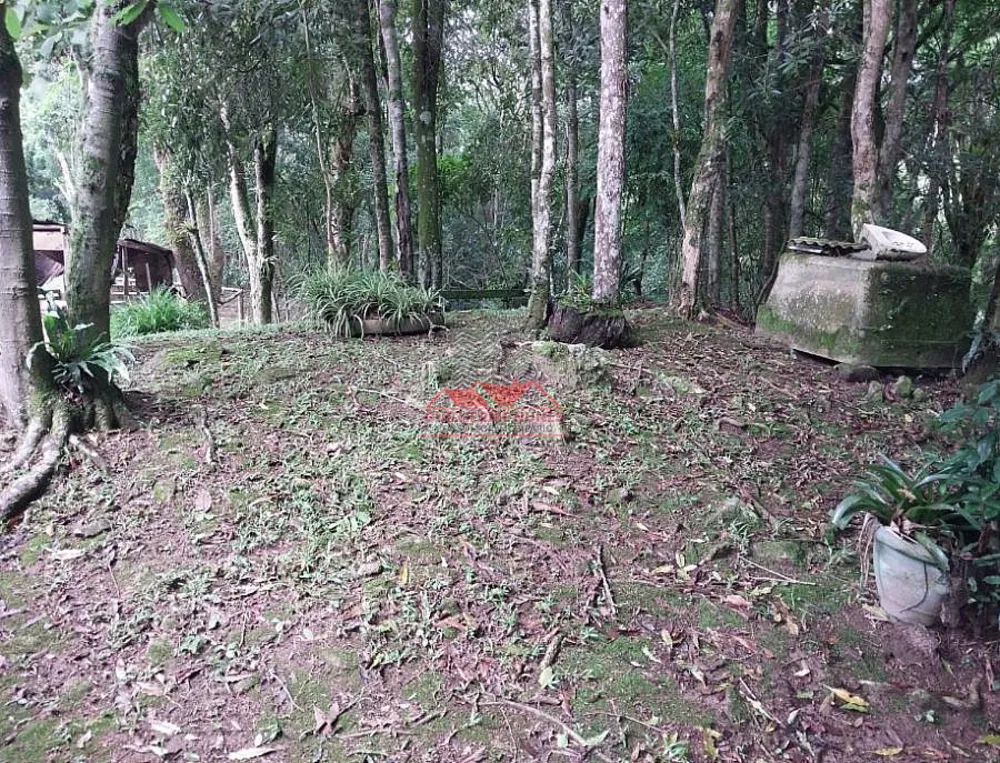 Chácara, 3 quartos, 4 hectares - Foto 7