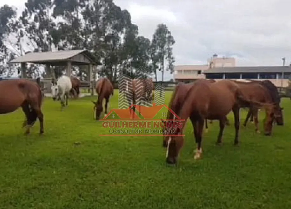 Fazenda, 52 hectares - Foto 7