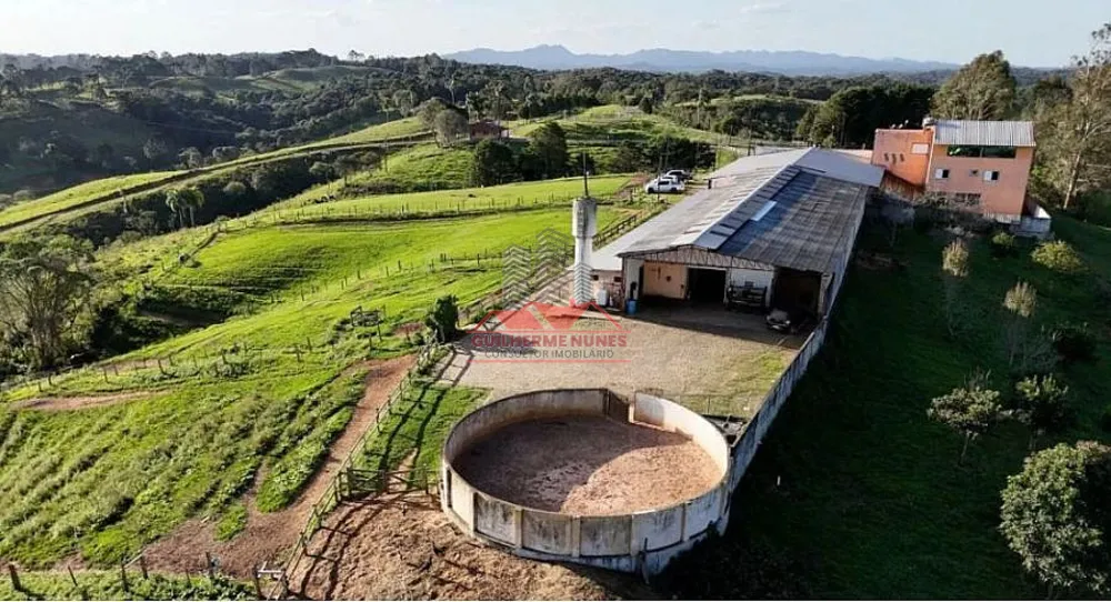 Fazenda, 52 hectares - Foto 1