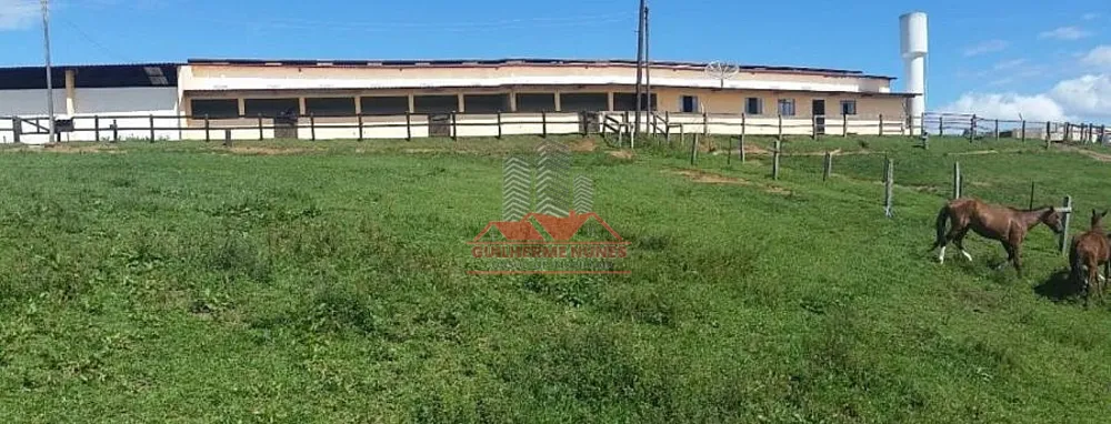 Fazenda, 52 hectares - Foto 2