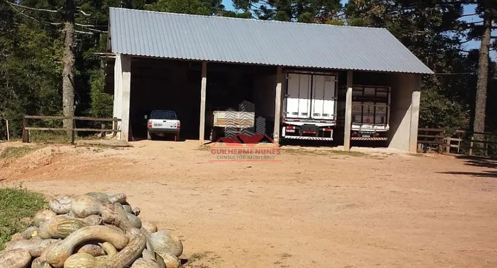 Fazenda, 52 hectares - Foto 4