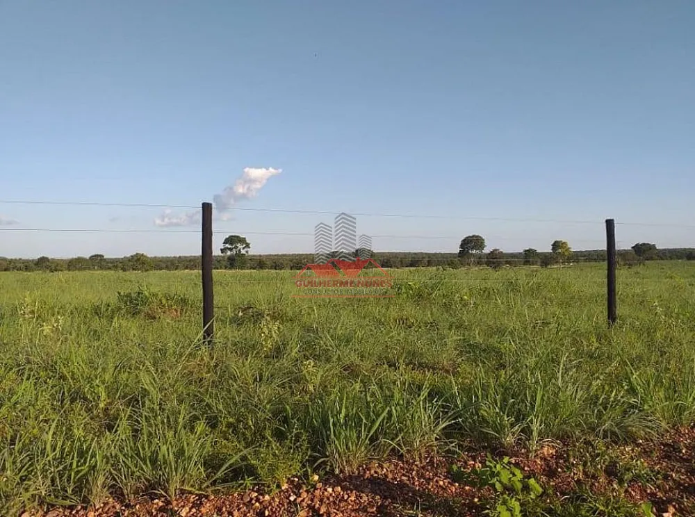 Fazenda, 1171 hectares - Foto 7