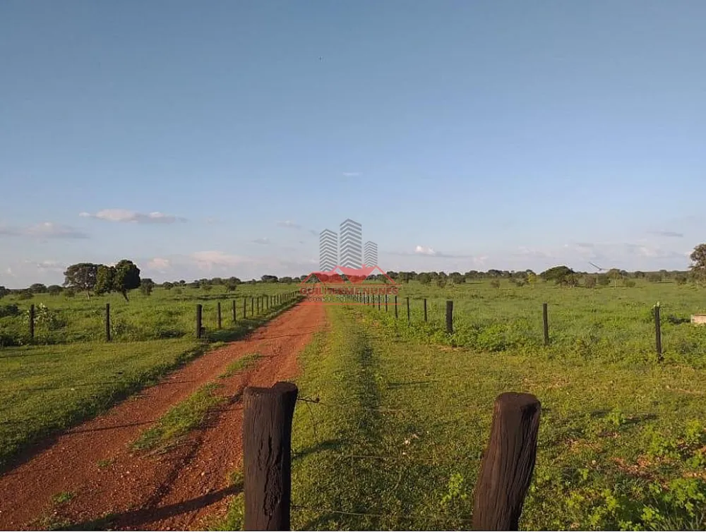 Fazenda, 1171 hectares - Foto 2