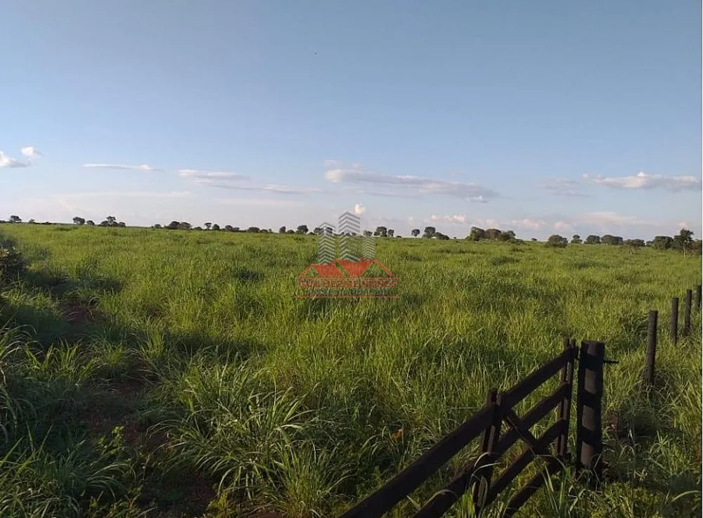 Fazenda, 1171 hectares - Foto 4