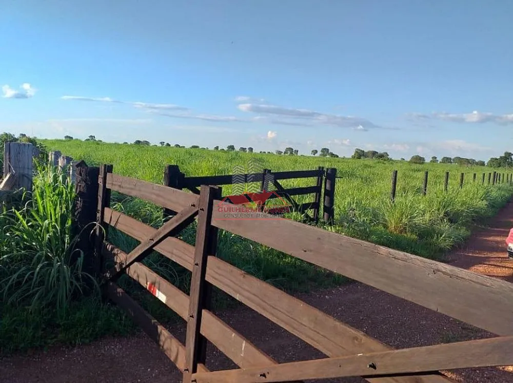 Fazenda, 1171 hectares - Foto 1
