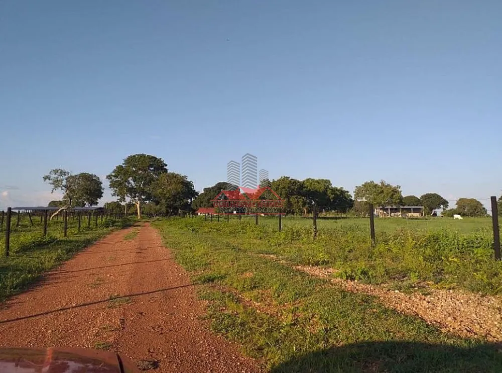 Fazenda, 1171 hectares - Foto 7