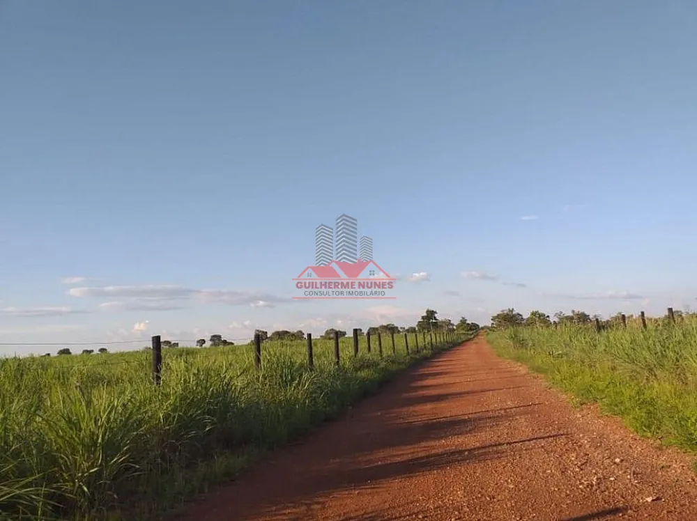 Fazenda, 1171 hectares - Foto 2