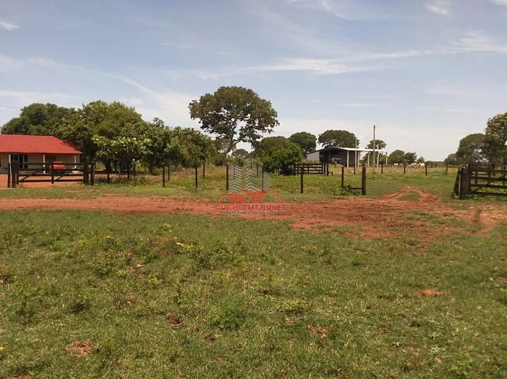 Fazenda, 1171 hectares - Foto 6