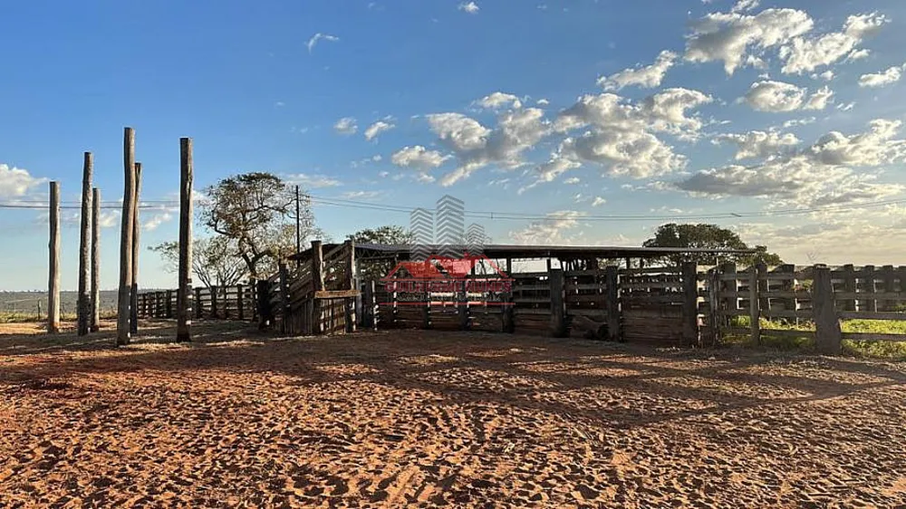 Fazenda, 3036 hectares - Foto 4