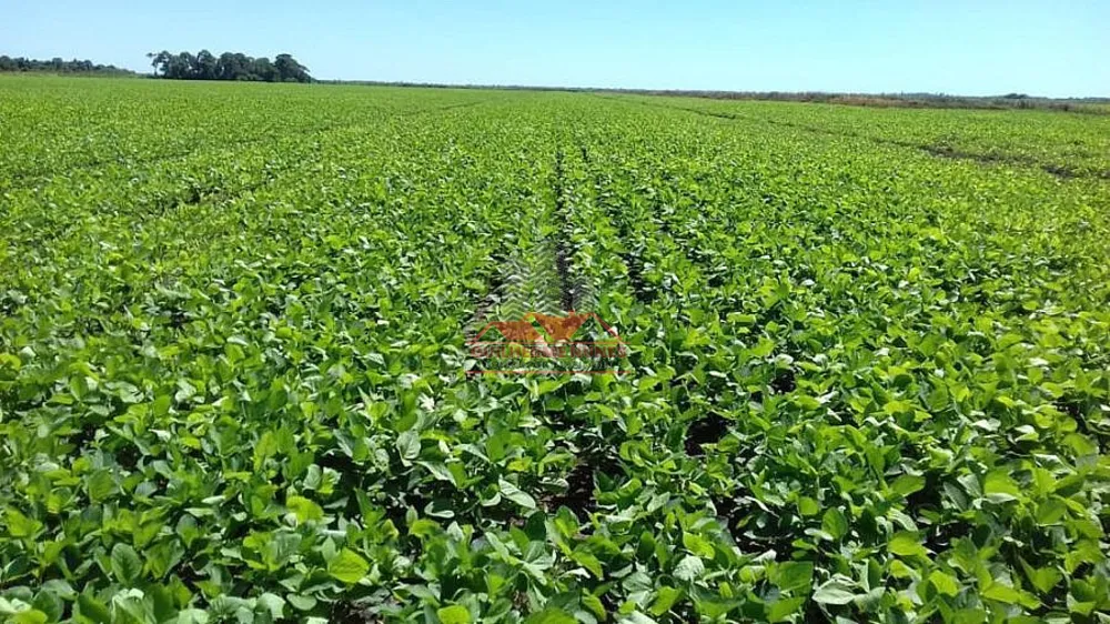 Fazenda, 3036 hectares - Foto 2