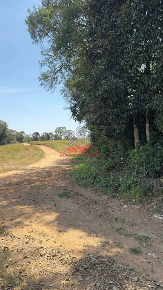 Sítio, 30 hectares - Foto 1