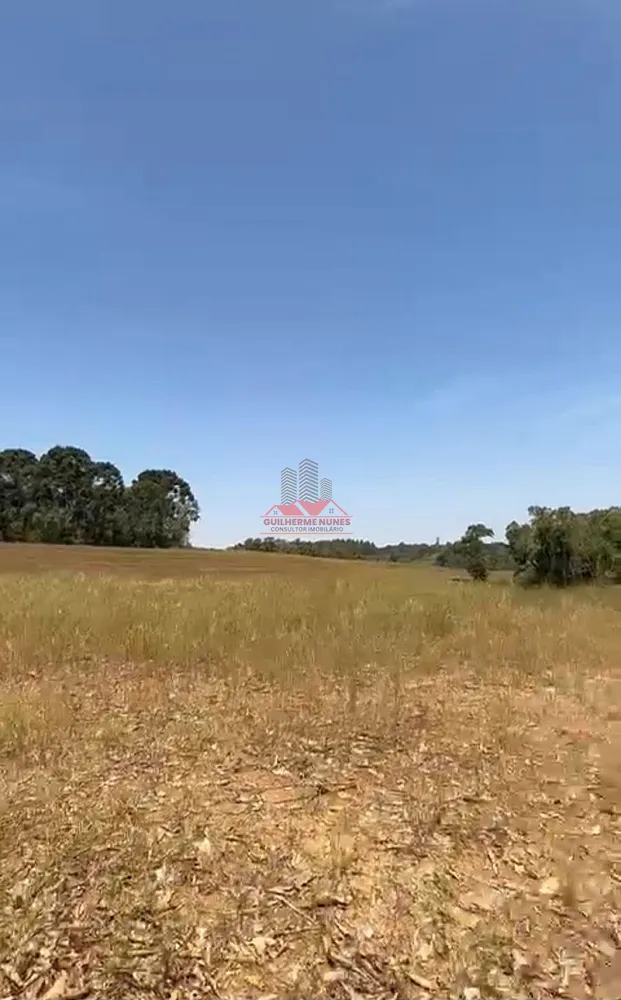 Sítio, 30 hectares - Foto 3