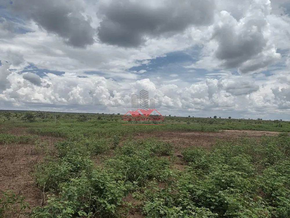 Fazenda, 4587 hectares - Foto 3