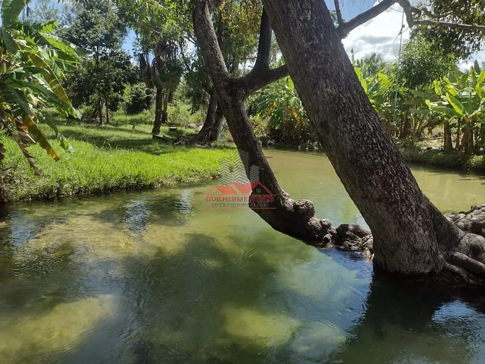 Fazenda, 4587 hectares - Foto 4