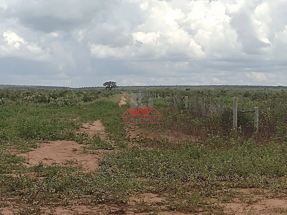 Fazenda, 4587 hectares - Foto 7