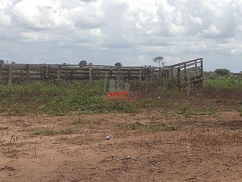 Fazenda, 4587 hectares - Foto 6