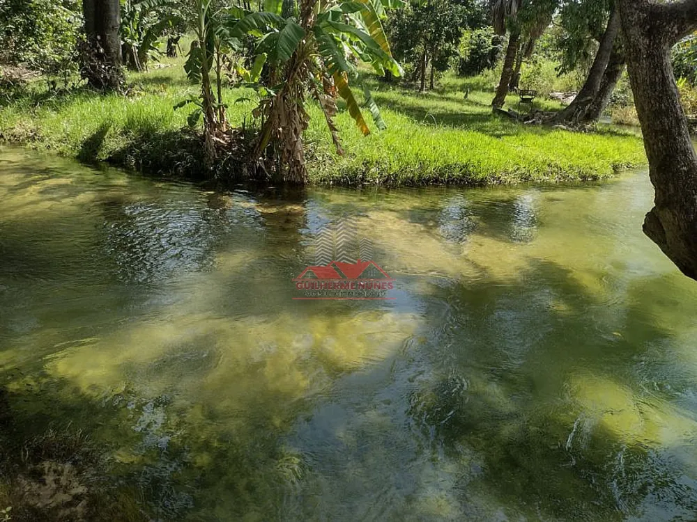 Fazenda, 4587 hectares - Foto 1