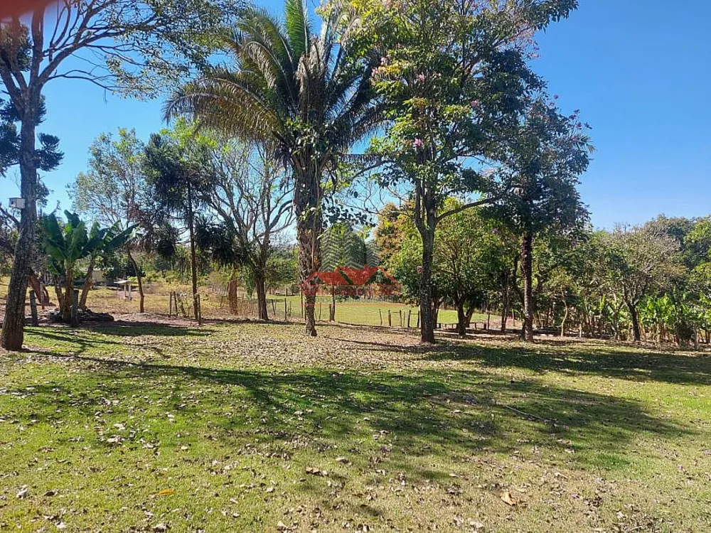 Fazenda, 398 hectares - Foto 6