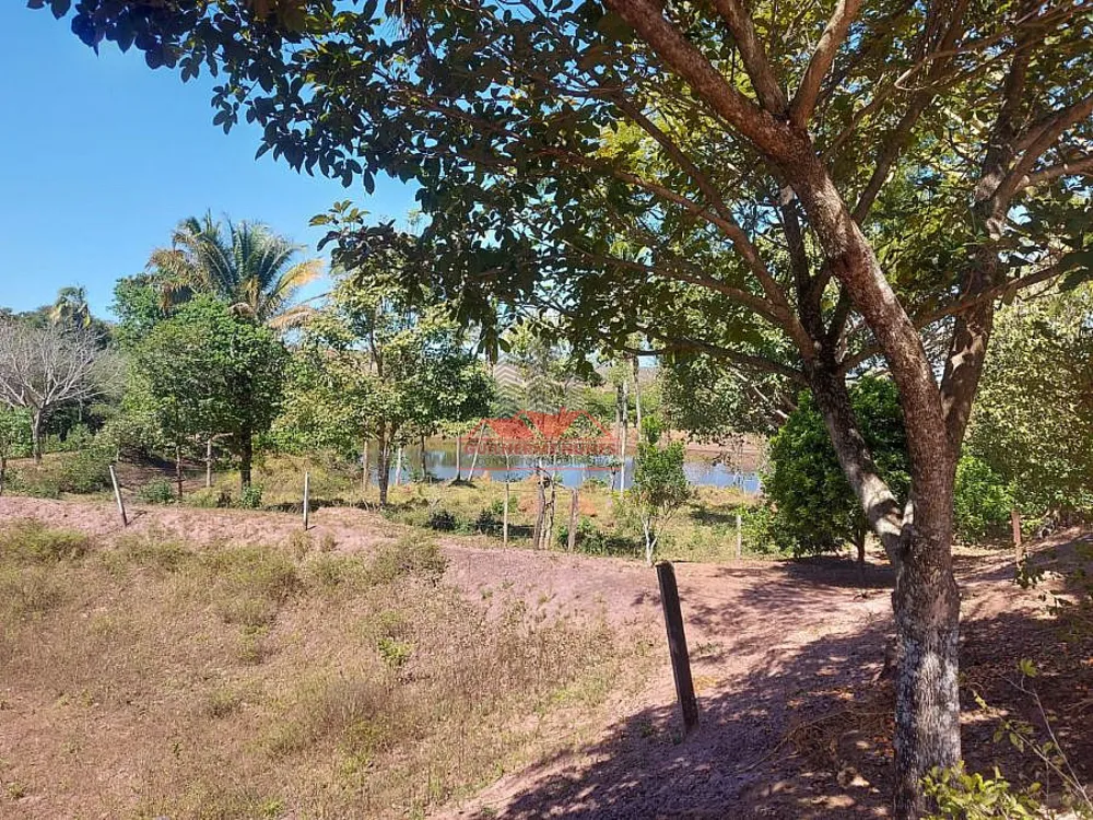 Fazenda, 398 hectares - Foto 4