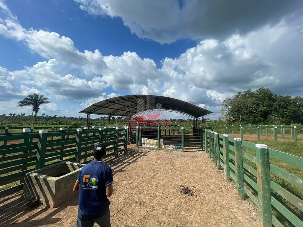 Fazenda, 2173 hectares - Foto 6